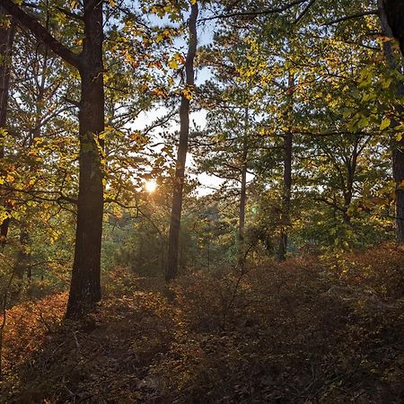 Loblolly Pines #3 Adventure Aframe Villa Eureka Springs Dış mekan fotoğraf