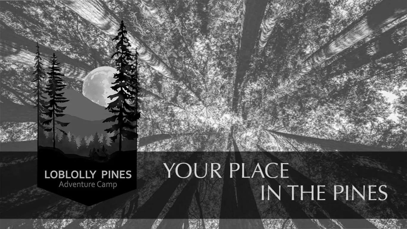 Loblolly Pines #3 Adventure Aframe Villa Eureka Springs Dış mekan fotoğraf